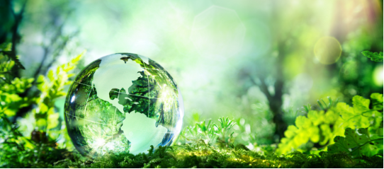 Environmental and social initiatives